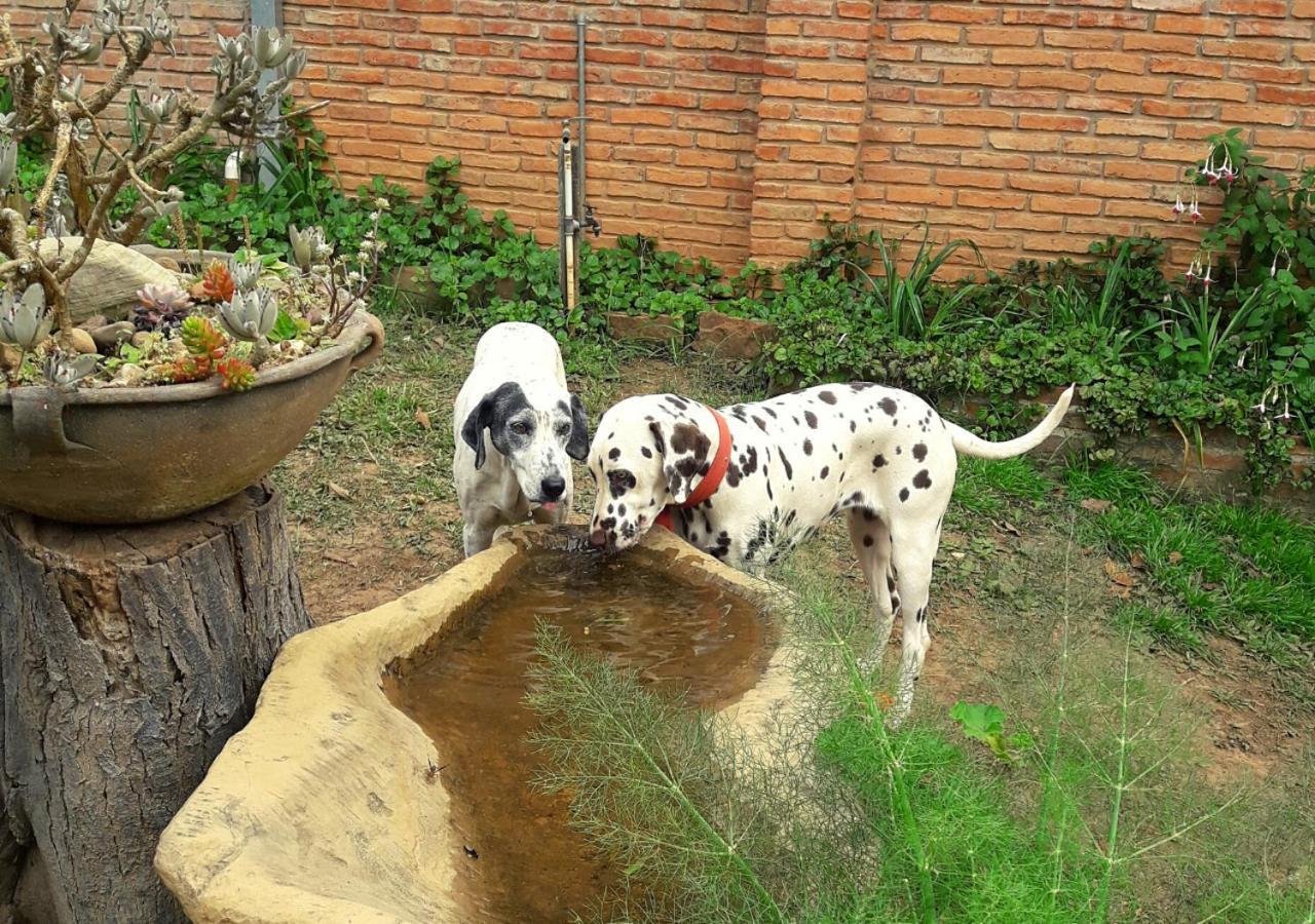 Finca La Vispera Samaipata Esterno foto
